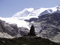 cms_visual_825.jpg