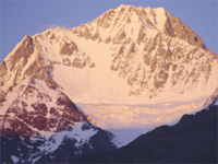 cms_visual_826.jpg